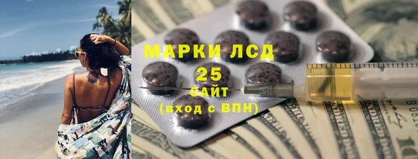 амф Верхний Тагил