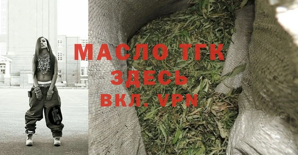 амф Верхний Тагил