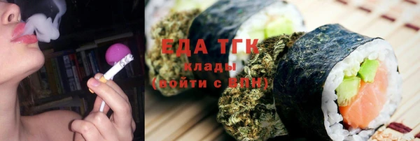 амф Верхний Тагил