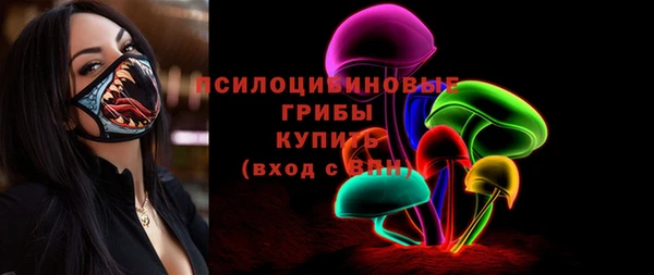 амф Верхний Тагил