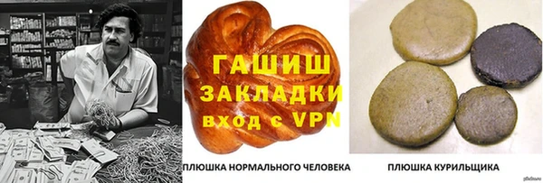 амф Верхний Тагил