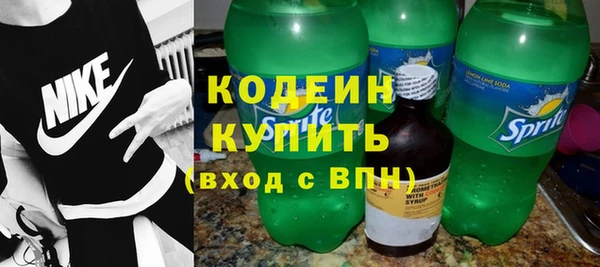 амф Верхний Тагил