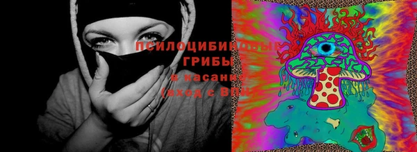 амф Верхний Тагил