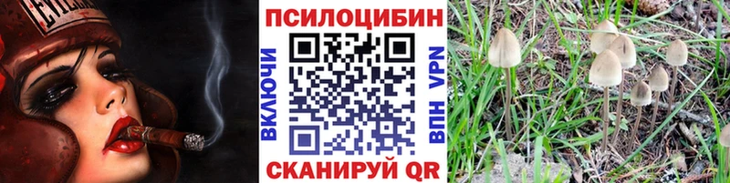 hydra tor  где продают   Кизел  Псилоцибиновые грибы мухоморы 